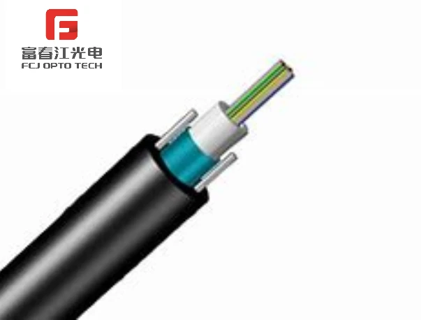 FCJ ODM 24 Core Armoured Cable HDPE Sheath GYTS Outdoor Optic Fiber Cable Supplier